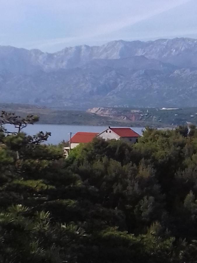With A Parking Space Novigrad - 12572 Apartment